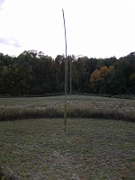  Vertical #8 in the foreground, and the transmitting vertical in the background.  Notice how treated wood cannot support its own weight.